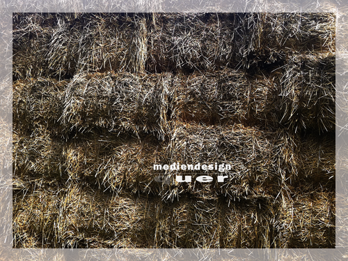 stroh_mit_transparentem-Rah