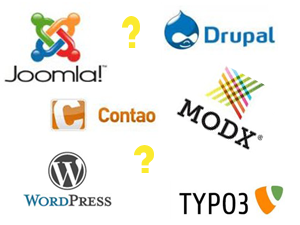 Welches CMS soll ich nehmen ?