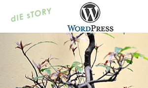 Was ist WordPress Teil 2