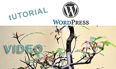 wp_video