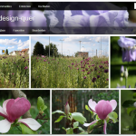 Fotostream von flickr