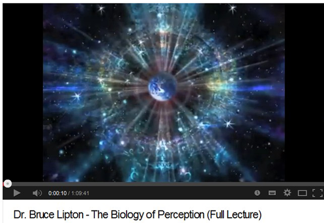 You Tube Bruce LIpton