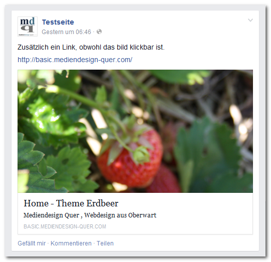 Newsfeed Erdbeer