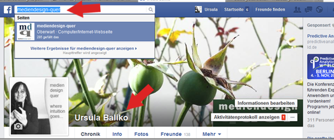 Facebook Suche