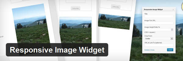 Responsive Image Widget 
