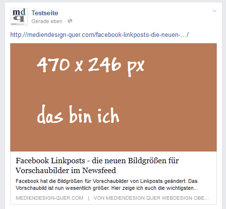 Facebook Vorschau 450