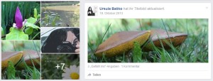 fb-titelbild-aktualisiert