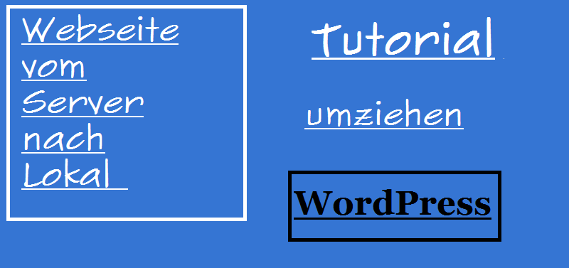 webseite-von-server-nach-lokal