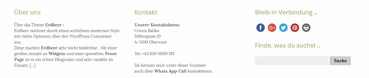 3-footer-widgets