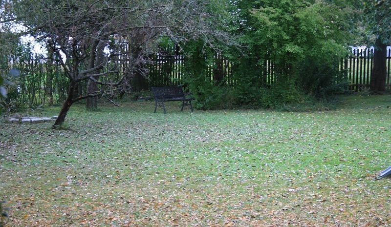 garten-im-herbst