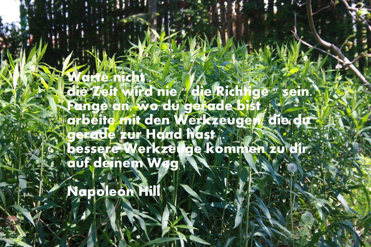 zeit-02