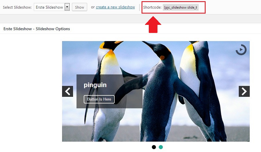slideshow-pinguin