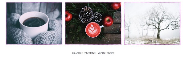 Dieses Bild hat ein leeres alt-Attribut; sein Dateiname ist galerie-untertitel-zentriert.jpg.